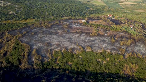 Aerial-revealing-the-distraction-of-a-forest-by-wildfires-in-northern-Greece,-August-2023