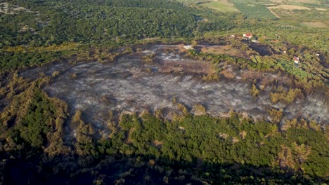 foto aérea que revela la distracción de un bosque por incendios forestales en el norte de grecia, agosto de 2023
