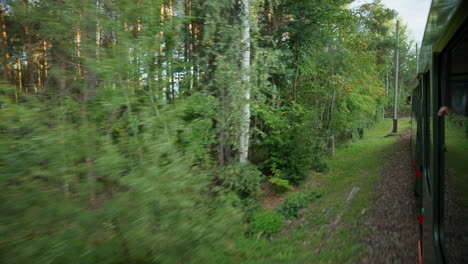 The-joy-of-watching-an-enchanting-electric-train-zigzagging-its-way-through-the-charming-forest,-A-truly-an-uplifting-view