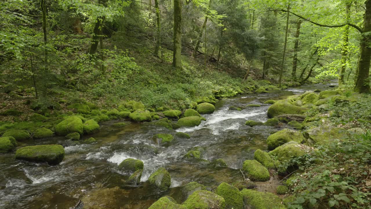 Smuk strøm af vandløb over klipper i fredelig, frodig grøn skov