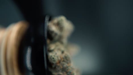 a vertical macro smooth detailed crane shot of a cannabis plant, hybrid orange strains, sativa ,marijuana flower, on a rotating stand, full hd, super slow motion, 120 fps, studio lighting