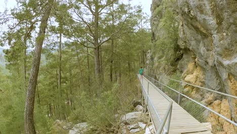 hiking trail with wooden boardwalk in sapadere canyon near alanya, turkey