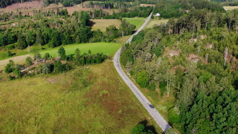 Aerial-view-of-road-near-mountains-and-forest-with-car-driving