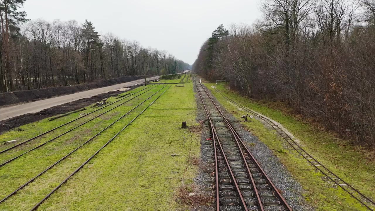 Ripresa aerea bassa con drone che sorvola binari ferroviari abbandonati in un paesaggio invernale umido. Alberi spogli, erba verde e cieli coperti creano un'atmosfera cinematografica suggestiva.