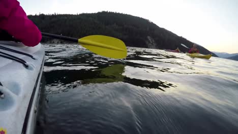 tourist rowing a boat in the river 4k