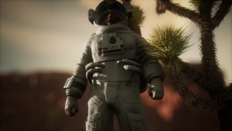 astronauta en el alto desierto de nevada