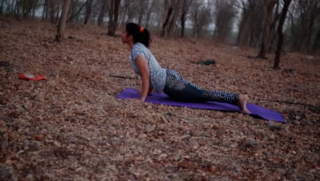 mujer joven haciendo yoga en un parque cerca del río durante la mañana, destello de lente y hermoso fondo de vista