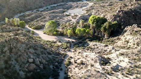 aerial flyover of rugged scenic landscape in joshua tree national park, united states of america