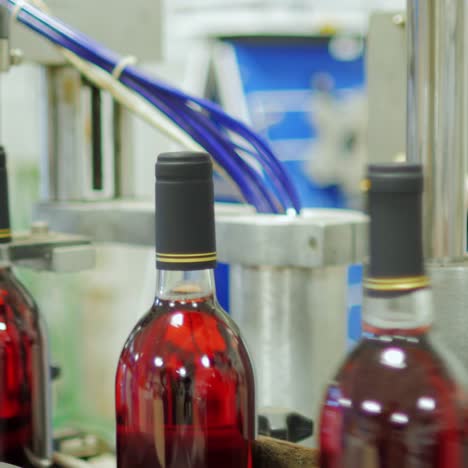botellas de vino tinto se mueven en una cinta transportadora 3