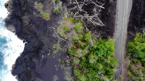 Rotierende-Drohnenaufnahme-Einer-Klippenstraße-Und-Von-Bäumen-An-Einem-Jüngsten-Ausbruchsort-Auf-Der-Insel-Hawaii-In-Der-Nähe-Des-Erholungsgebiets-Mackenzie-State