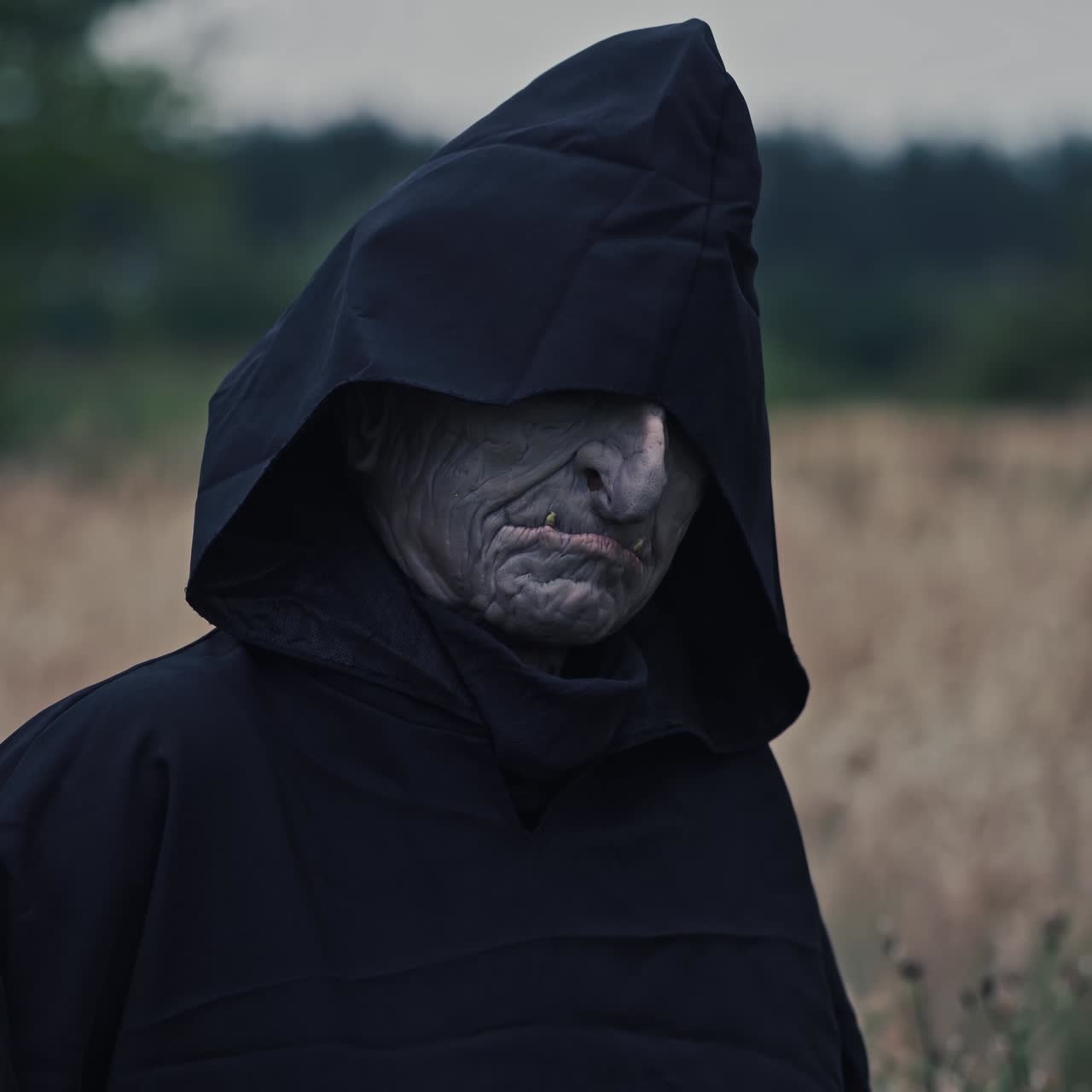 A Dark Hooded Creature in a Field