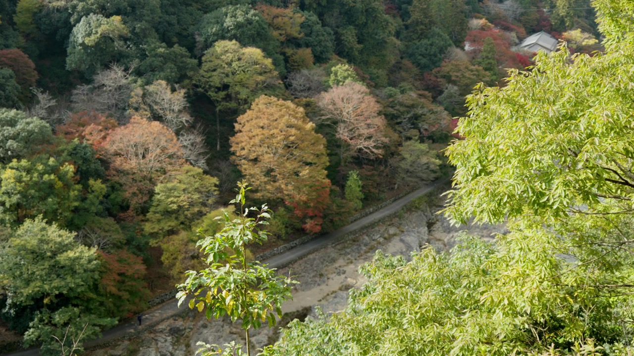 嵐山公園展望台からは、京都の鮮やかな紅葉、眼下に広がる絵のように美しい川、そして自然と伝統が織りなす魅惑的な光景を一望できます。