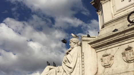pigeons and seagull at rossio square