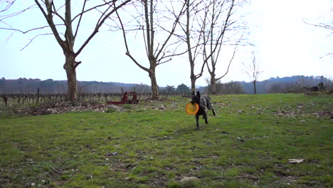 Slow-motion-of-dog-running-towards-camera-with-frisbee-in-its-mouth