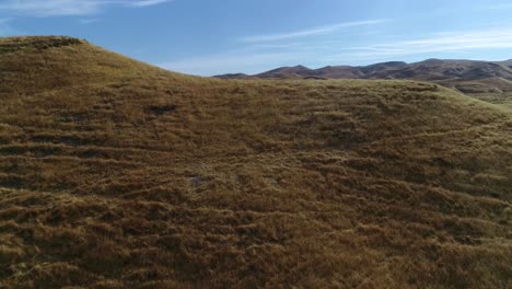 4k drone reveal flyover fresh burn scars on golden hills in central california