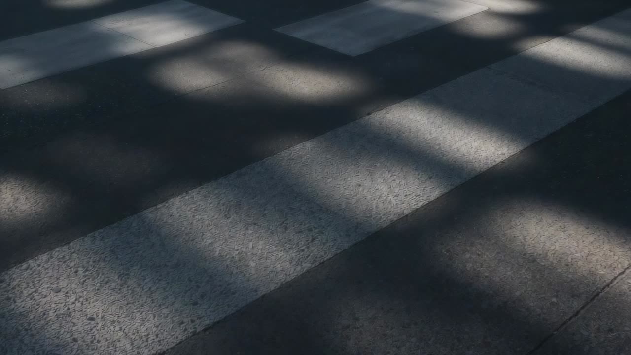 Showing dappled tree shadows drifting across painted crosswalk stripes on road, wind moving leaves