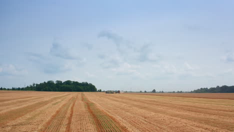 mowed field of wheat. approaching to the machinery working in the farmlands. green trees at backdrop.