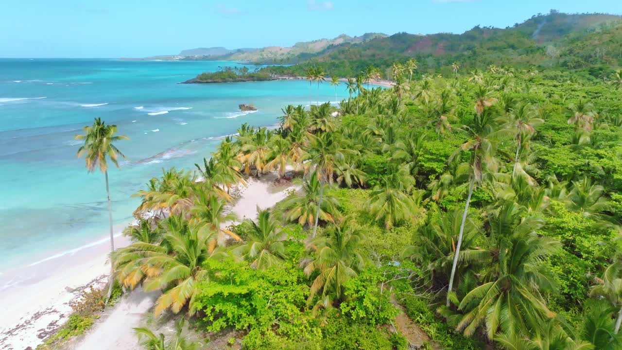plantación de palmeras de sobrevuelo aéreo con playa de arena y mar azul del caribe en playa rincon