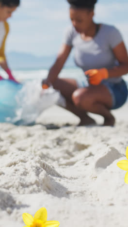 Animation-of-daffodils-over-diverse-women-picking-up-rubbish-from-beach