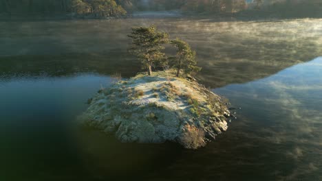 kleine insel mit bäumen in einem ruhigen see mit nebel, der im herbst beim sonnenaufgang fließt