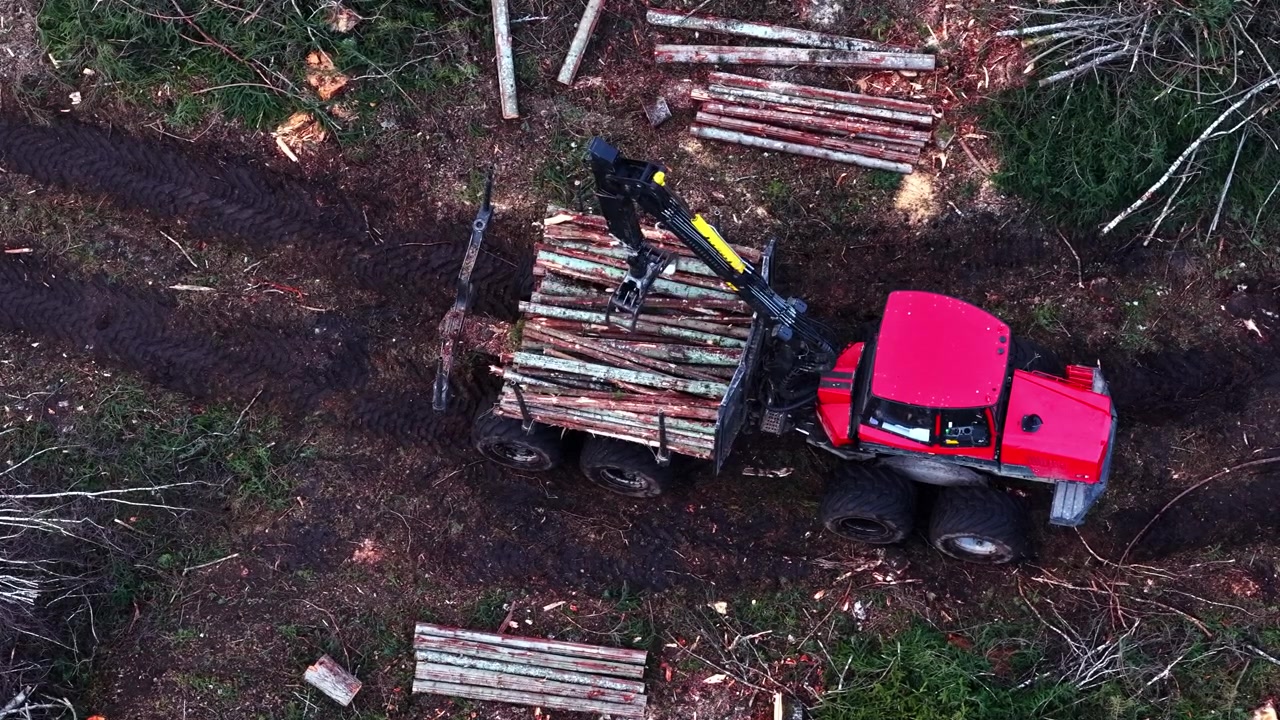 Forwarder loading logs and driving away on a muddy path in a forest area