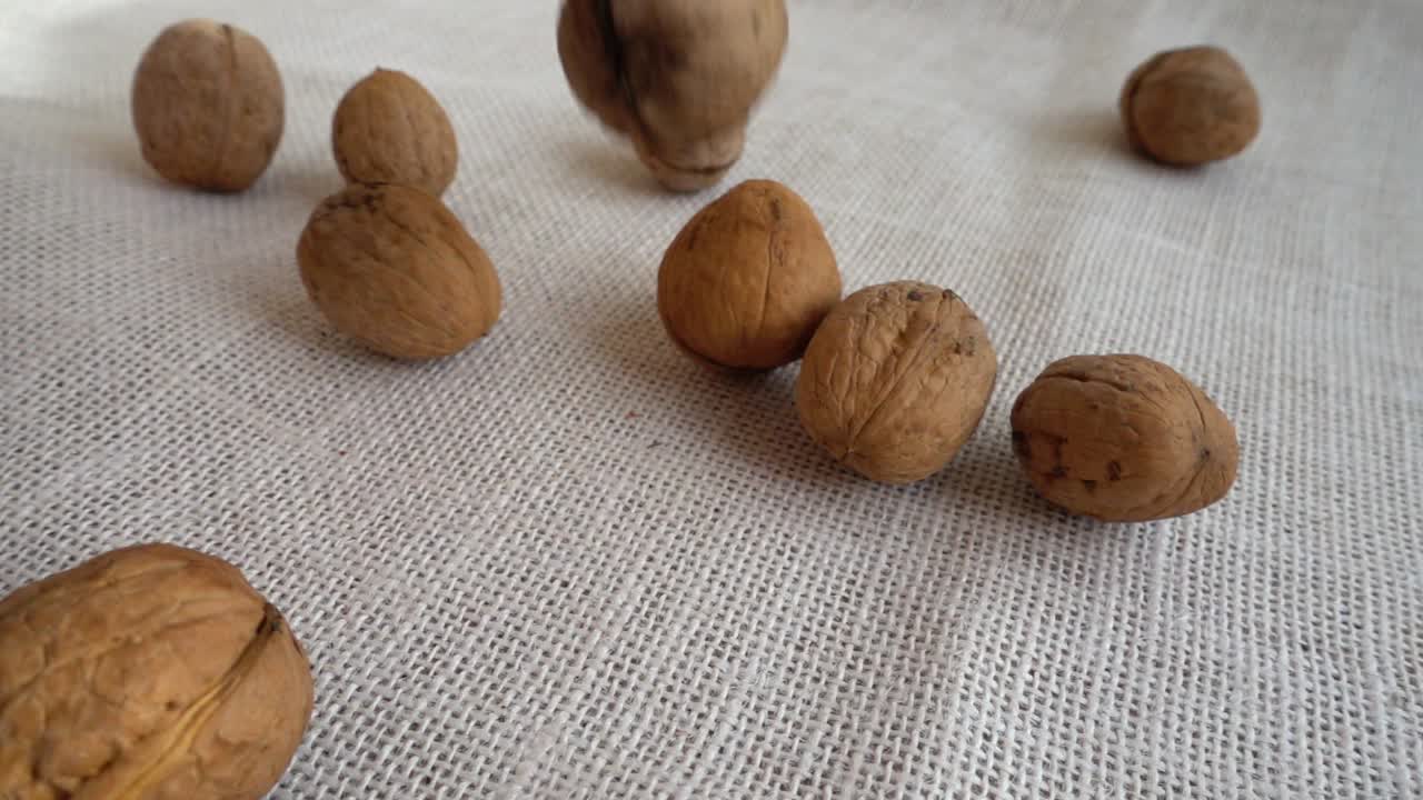 Noci. Juglans regia. Riprese mentre cadono su un sacco. Slow motion