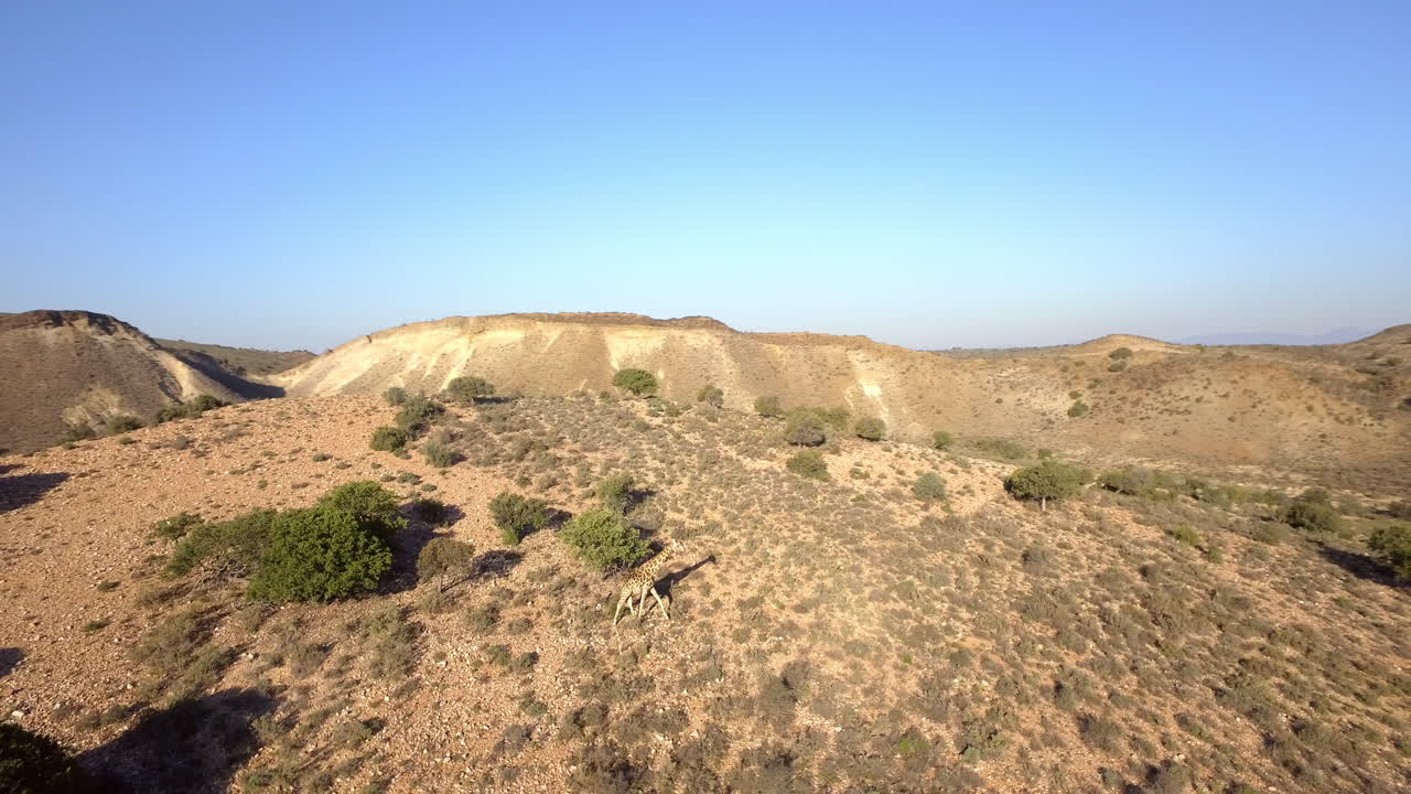 La natura è bellissima.