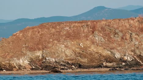 Nahaufnahme-Der-Berühmten-Eselsinseln-In-Ammouliani,-Griechenland