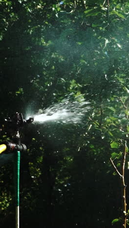 automatic sprayers in the garden. sprinkler head watering the bush and grass in the garden. vertical video