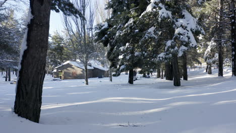 Chalet-De-Madera-Abandonado-En-Un-Entorno-De-Nieve-Profunda-Con-árboles-Cargados-De-Nieve