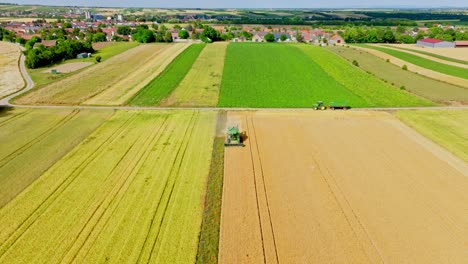 harvester cutting crop of wheat during summer - aerial shot