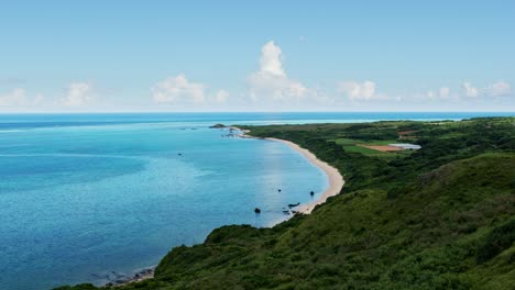 Aerial-view-of-the-ocean-and-forest