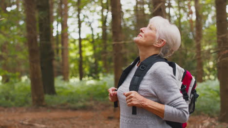 mujer anciana jubilada activa caminando por el campo del bosque con una mochila respirando aire fresco