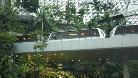 singapore botanic gardens airport skytrain
