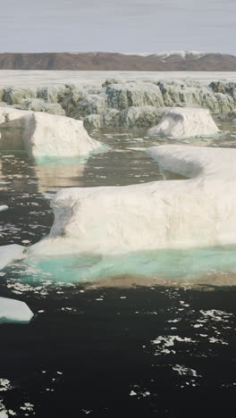 icebergs in the arctic