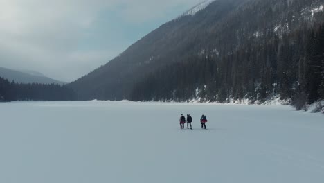 aerial shot of a group of people walking on a frozen lake surrounded by pine trees and mountains during winter time, british columbia canada