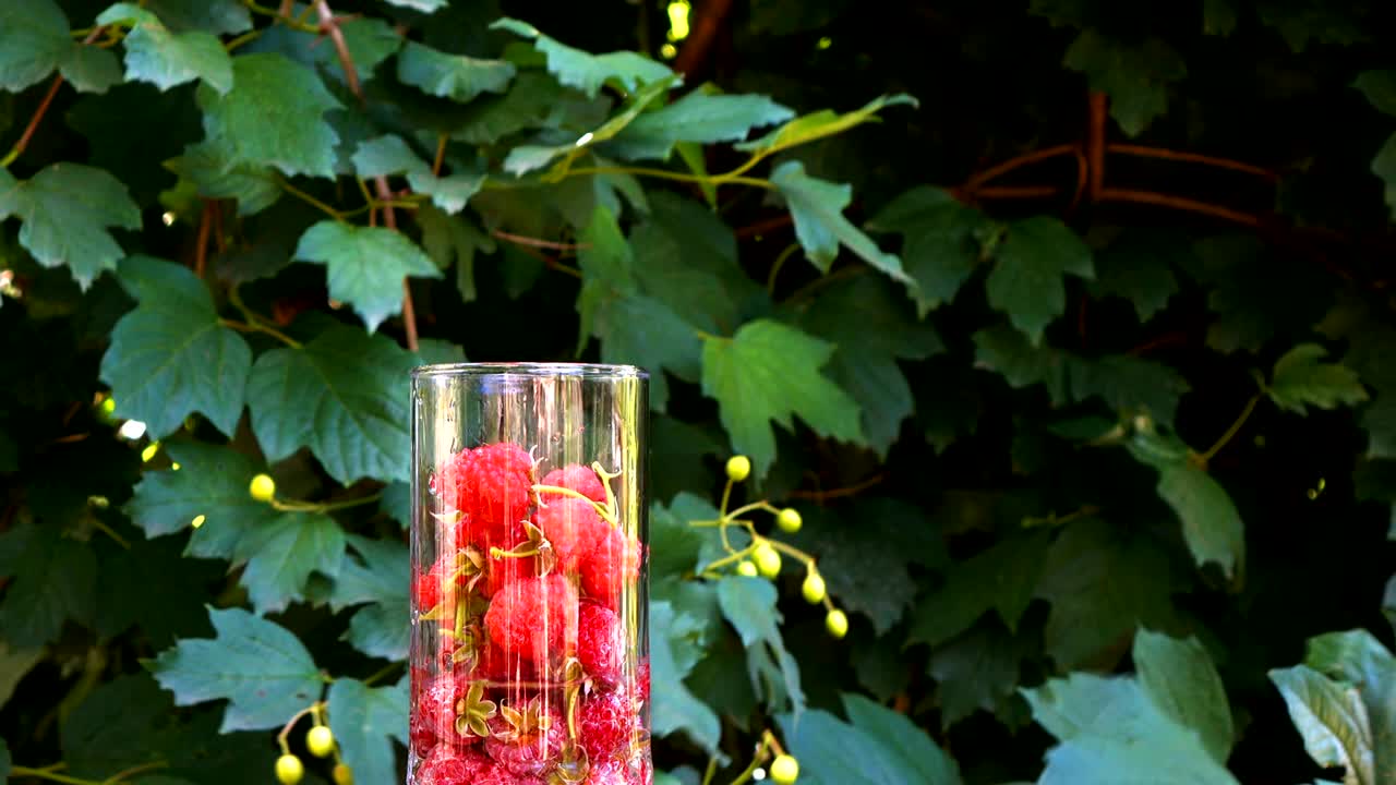 물과 함께 유리잔에 은 라즈베리 영화