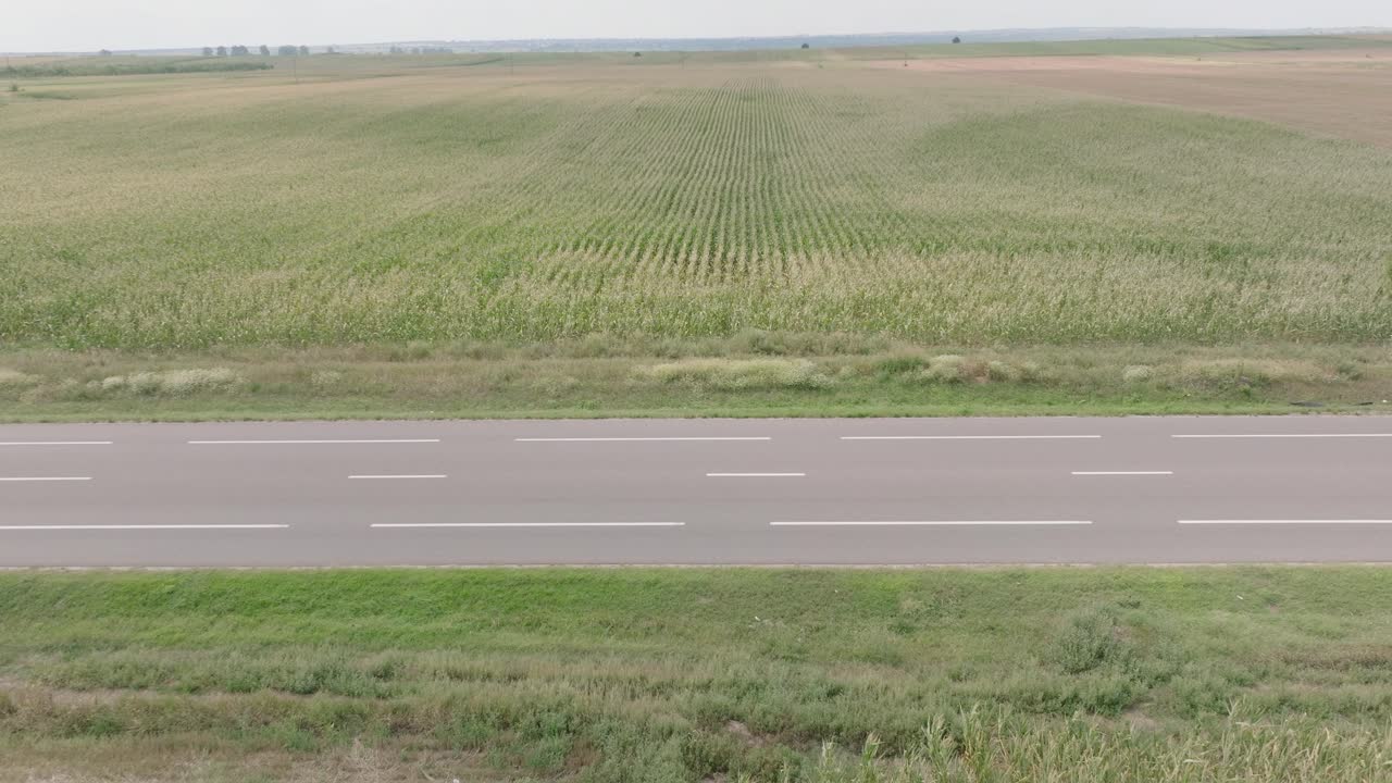 루마니아 도메네스티 의 농장 들 사이 의 시골 도로 를 운전 하는 차량 - 정적