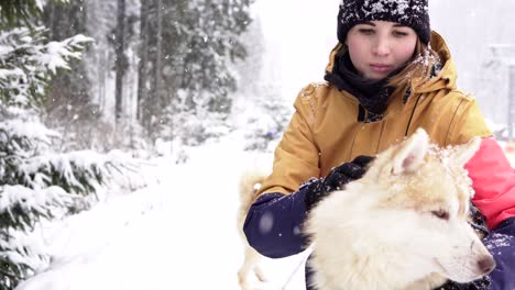 beautiful girl hugging the dog. the girl with the siberian husky