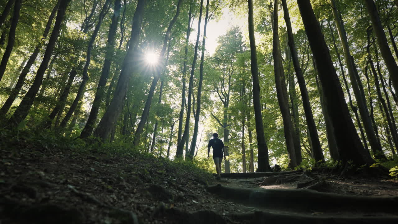 자연을 즐기는 등산객 남자는