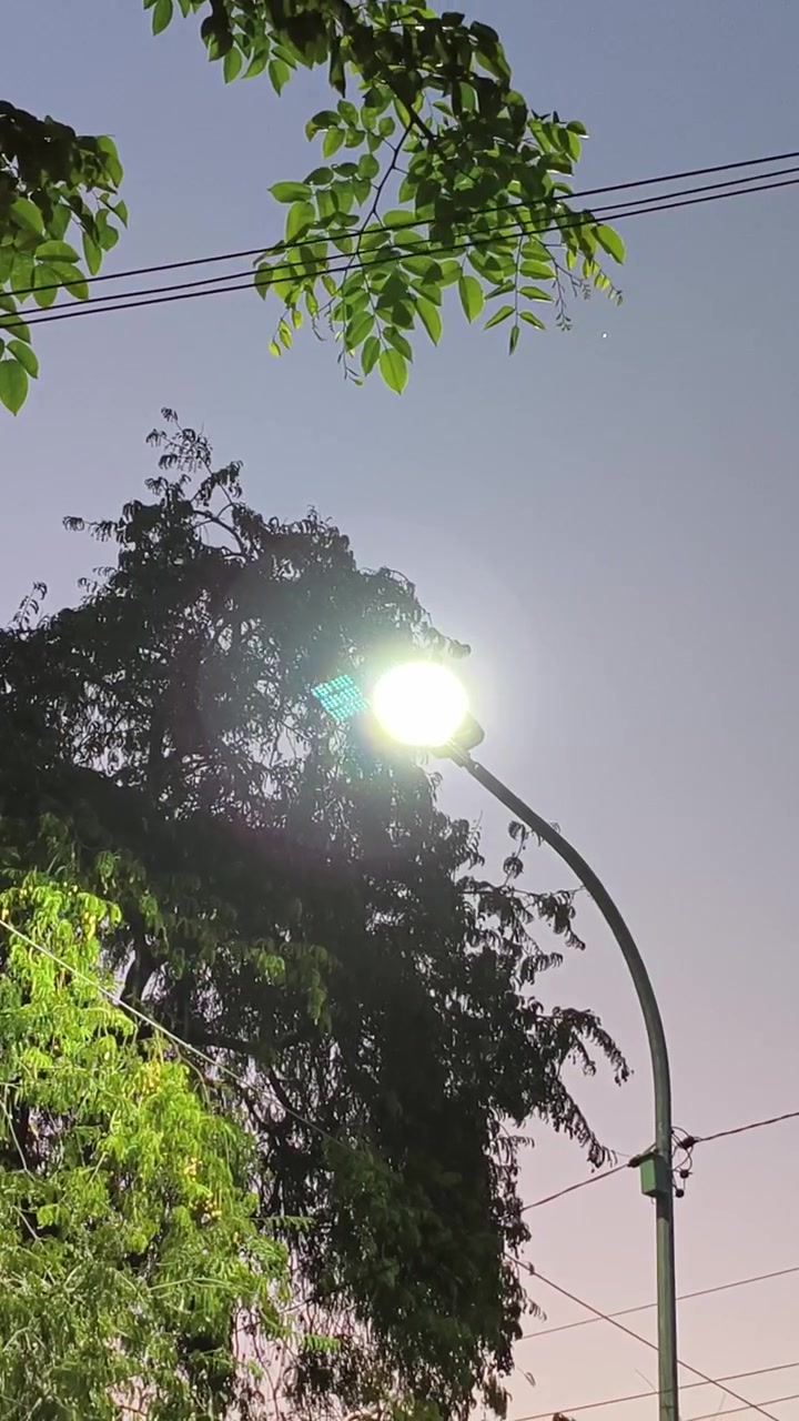 Farola brillante resplandeciendo contra el cielo vespertino y los árboles