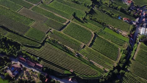 vista aérea de un asombroso campo verde con árboles, pocas casas y caminos