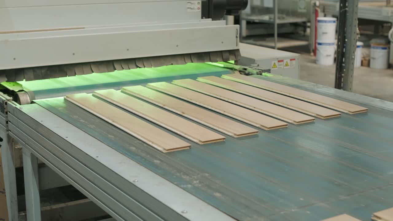 Wooden Planks Moving on Conveyor Belt in Wood Processing Factory