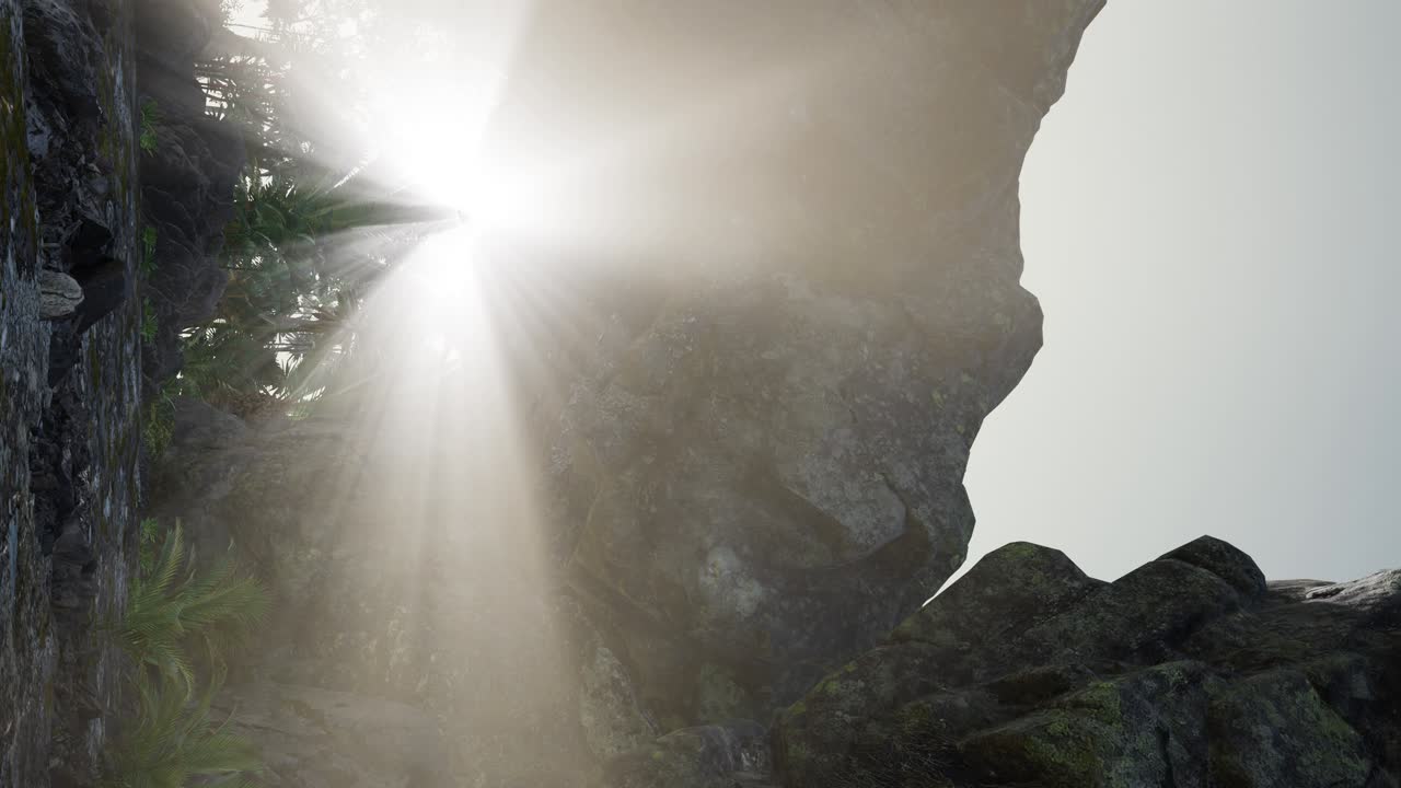 일몰 에 있는 열대 동굴 의 수직  ⁇