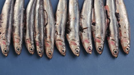 fresh anchovies