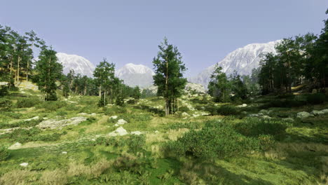 lush green landscape with mountains and trees under a clear blue sky