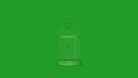 jaula decorativa para pájaros 4k