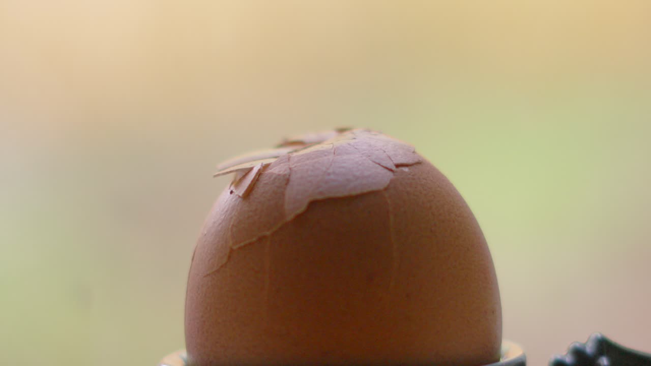 Spoon Hitting Freshly Boiled Egg Ready to Eat Yolk Inside for Delicious Nutritious Breakfast Meal. Slow Motion Food Clip