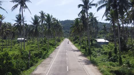 locals and tourists riding motorbikes on empty palm tree road driving past camera