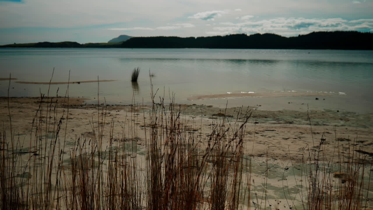 Slow-motion wide shot of lake Kai Iwi in New Zealand through the grass on the lake shore